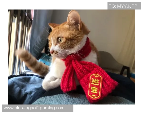 pg电子招财猫视频-PG电子招财猫视频，现代科技与传统的融合之美-pg电子招财猫视频